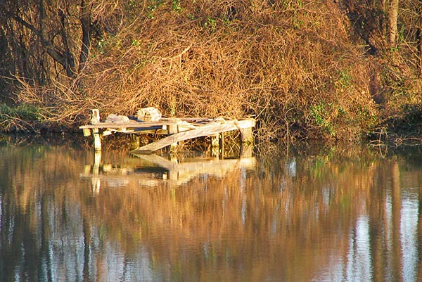 hornberger photo